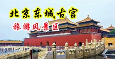 操逼出水视频中国北京-东城古宫旅游风景区